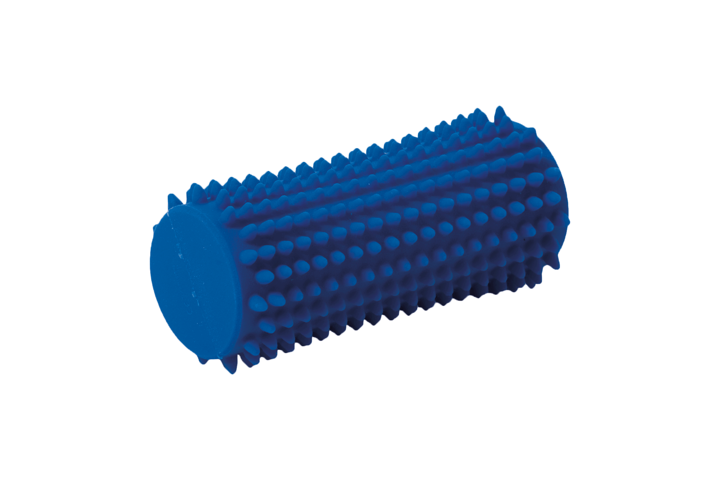 Bodyroll_blau