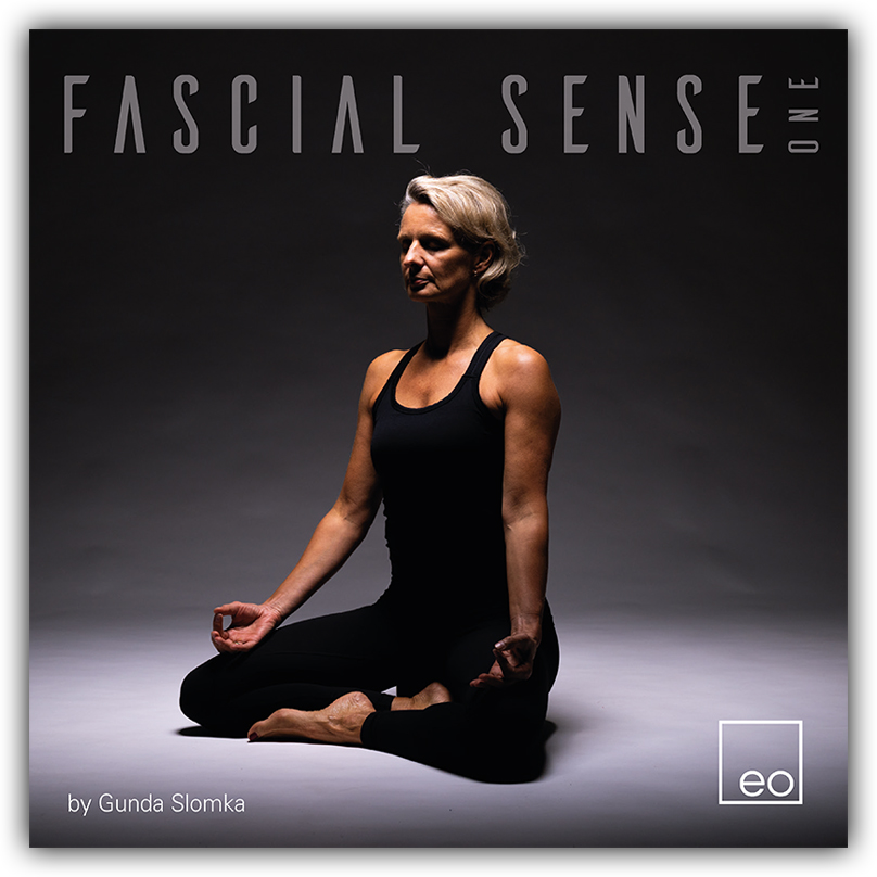 Inlay-Booklet4s-FascialSense.indd